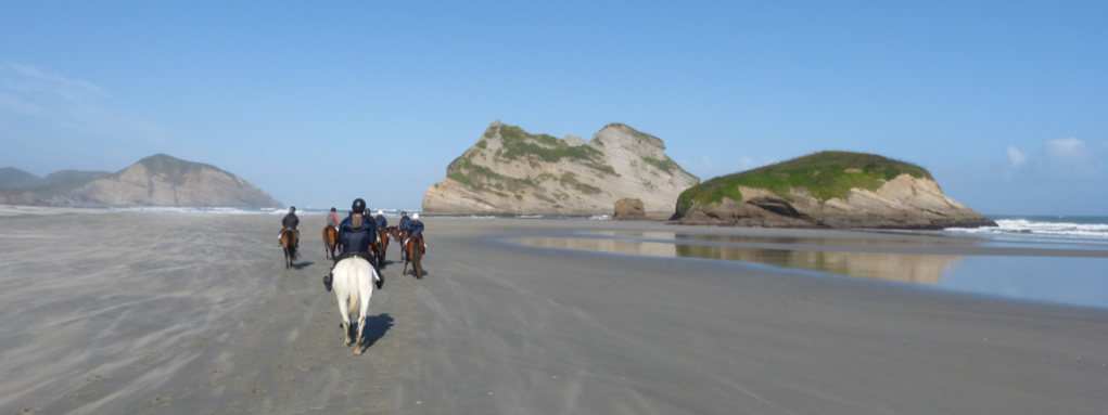 Wharariki Beach Horse Riding
