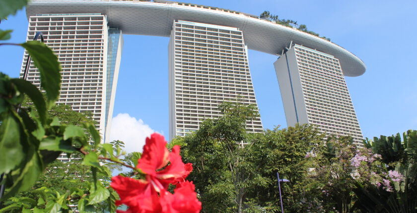 Auszeit Neuseeland Singapur
