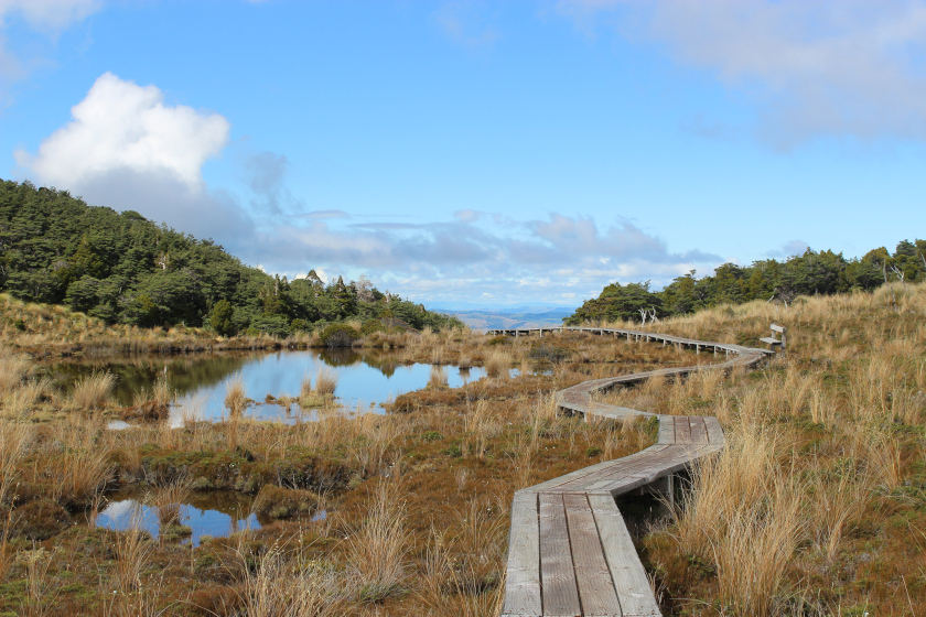 Auszeit Neuseelandreise Apps Tongariro