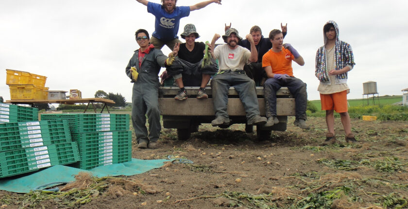 Work and Travel Neuseeland Plantagenarbeit