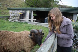 Work and Travel Neuseeland WWOOF Farmstay