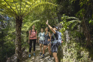 Abel-Tasman-Nationalpark-Wanderung