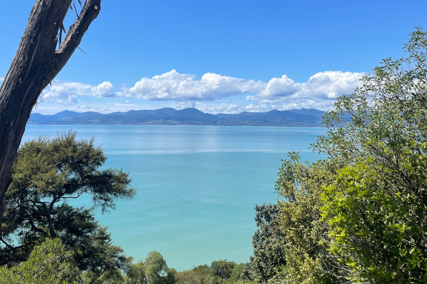 Auszeit Neuseeland AGB